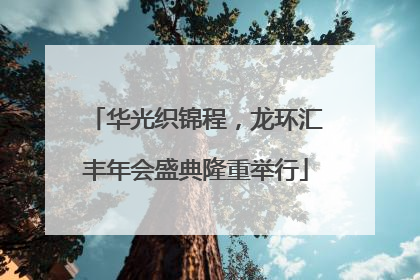 华光织锦程，龙环汇丰年会盛典隆重举行