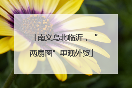 南义乌北临沂，“两扇窗”里观外贸