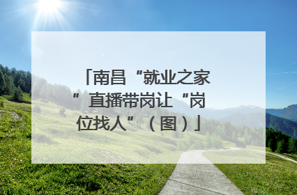 南昌“就业之家”直播带岗让“岗位找人”（图）