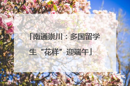 南通崇川：多国留学生“花样”迎端午