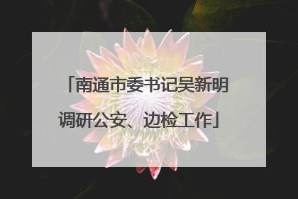 南通市委书记吴新明调研公安、边检工作