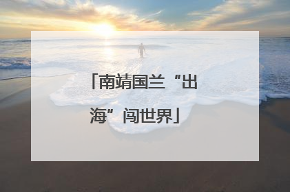 南靖国兰“出海”闯世界