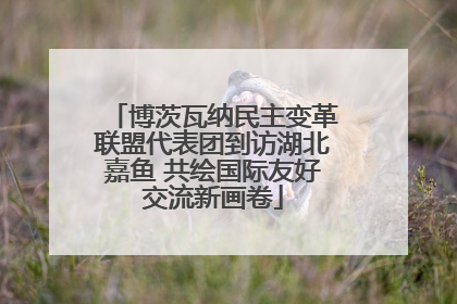 博茨瓦纳民主变革联盟代表团到访湖北嘉鱼 共绘国际友好交流新画卷