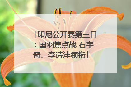 印尼公开赛第三日：国羽焦点战 石宇奇、李诗沣领衔