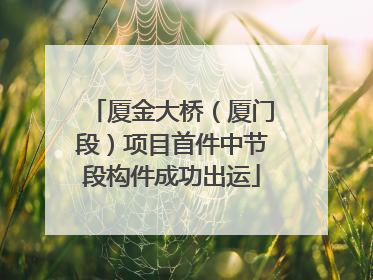 厦金大桥（厦门段）项目首件中节段构件成功出运