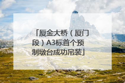 厦金大桥（厦门段）A3标首个预制墩台成功吊装