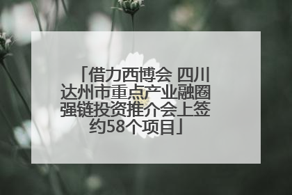 借力西博会 四川达州市重点产业融圈强链投资推介会上签约58个项目