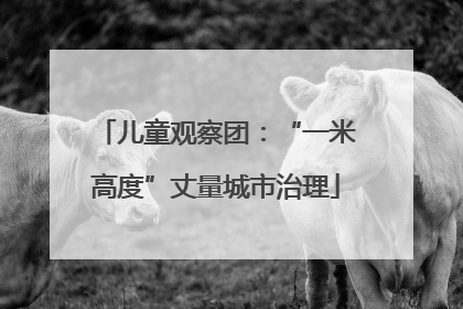 儿童观察团：“一米高度”丈量城市治理