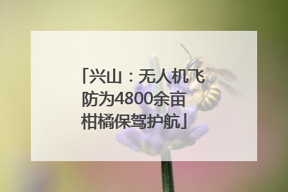 兴山：无人机飞防为4800余亩柑橘保驾护航
