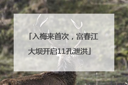 入梅来首次，富春江大坝开启11孔泄洪