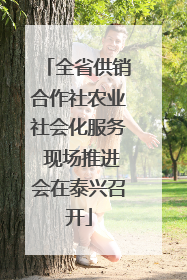 全省供销合作社农业社会化服务 现场推进会在泰兴召开