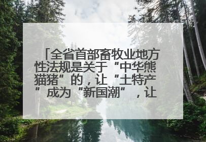 全省首部畜牧业地方性法规是关于“中华熊猫猪”的，让“土特产”成为“新国潮”，让“农产品”升格为“城市IP”