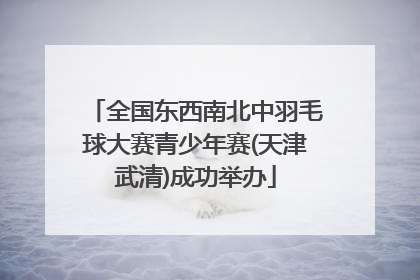 全国东西南北中羽毛球大赛青少年赛(天津武清)成功举办
