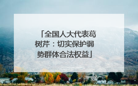 全国人大代表葛树芹：切实保护弱势群体合法权益