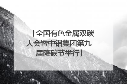 全国有色金属双碳大会暨中铝集团第九届降碳节举行