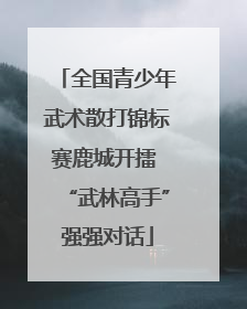 全国青少年武术散打锦标赛鹿城开擂 “武林高手”强强对话
