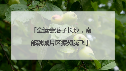 全运会落子长沙，南部融城片区振翅腾飞