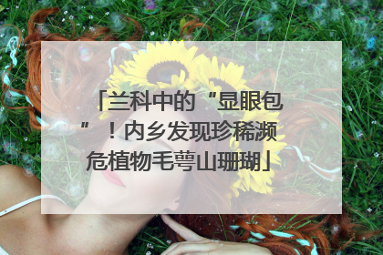 兰科中的“显眼包”！内乡发现珍稀濒危植物毛萼山珊瑚