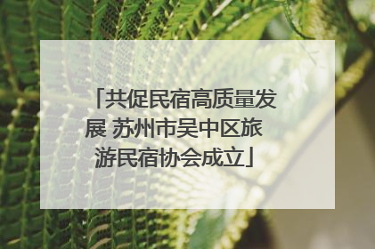 共促民宿高质量发展 苏州市吴中区旅游民宿协会成立