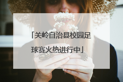 关岭自治县校园足球赛火热进行中