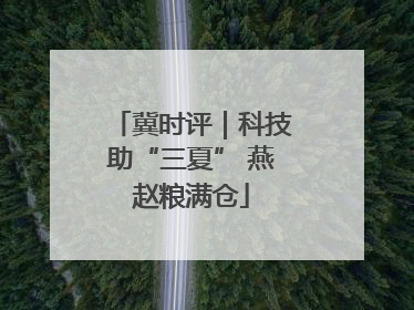 冀时评｜科技助“三夏” 燕赵粮满仓