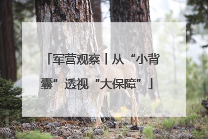 军营观察丨从“小背囊”透视“大保障”