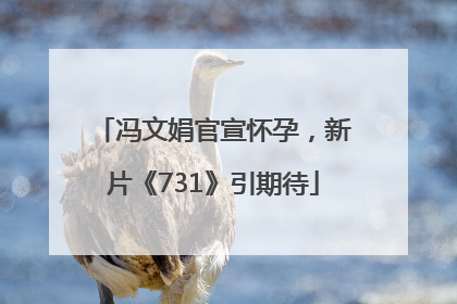 冯文娟官宣怀孕，新片《731》引期待