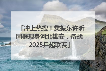 冲上热搜！樊振东许昕同框现身河北雄安，备战2025乒超联赛
