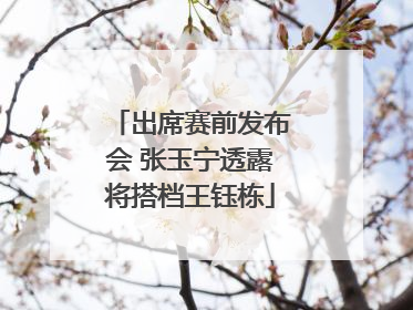 出席赛前发布会 张玉宁透露将搭档王钰栋