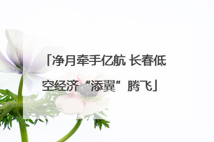净月牵手亿航 长春低空经济“添翼”腾飞
