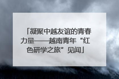 凝聚中越友谊的青春力量——越南青年“红色研学之旅”见闻