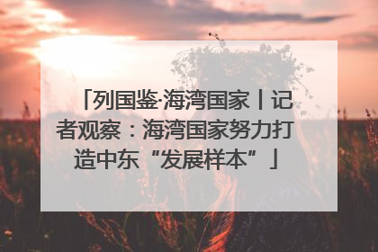 列国鉴·海湾国家丨记者观察：海湾国家努力打造中东“发展样本”