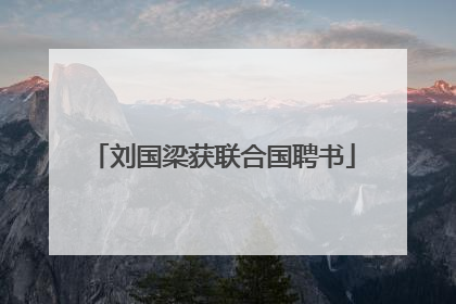 刘国梁获联合国聘书