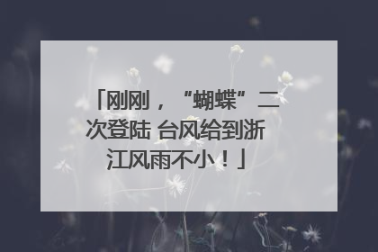 刚刚，“蝴蝶”二次登陆 台风给到浙江风雨不小！