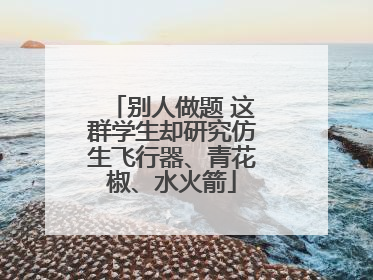 别人做题 这群学生却研究仿生飞行器、青花椒、水火箭