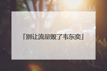 别让流量毁了韦东奕