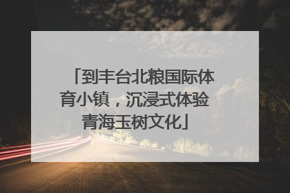 到丰台北粮国际体育小镇，沉浸式体验青海玉树文化