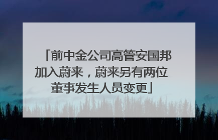前中金公司高管安国邦加入蔚来，蔚来另有两位董事发生人员变更