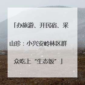 办旅游、开民宿、采山珍：小兴安岭林区群众吃上“生态饭”