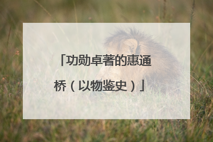 功勋卓著的惠通桥（以物鉴史）