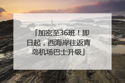 加密至36班！即日起，西海岸往返青岛机场巴士升级