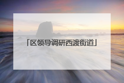 区领导调研西渡街道