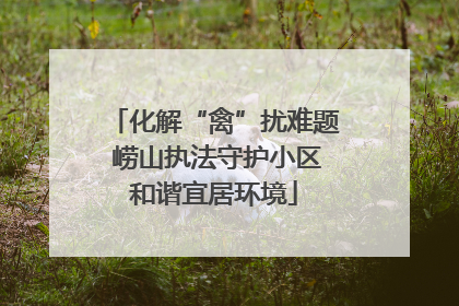 化解“禽”扰难题 崂山执法守护小区和谐宜居环境