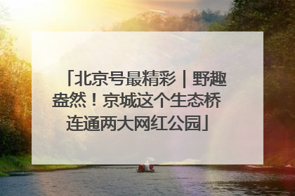 北京号最精彩｜野趣盎然！京城这个生态桥连通两大网红公园