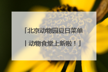 北京动物园夏日菜单丨动物食堂上新啦！
