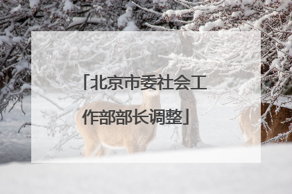 北京市委社会工作部部长调整