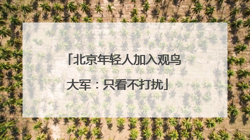 北京年轻人加入观鸟大军：只看不打扰