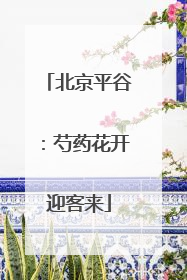 北京平谷：芍药花开迎客来