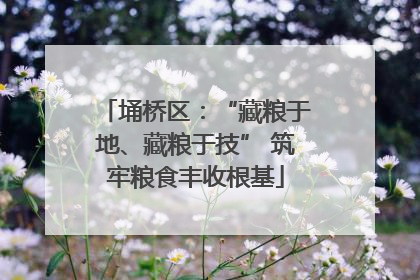 埇桥区：“藏粮于地、藏粮于技” 筑牢粮食丰收根基