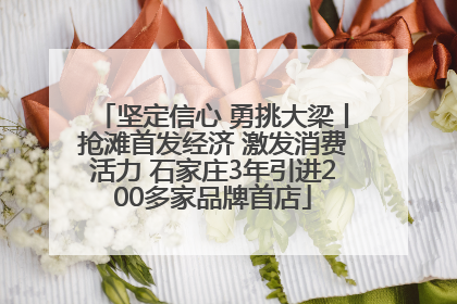 坚定信心 勇挑大梁丨抢滩首发经济 激发消费活力 石家庄3年引进200多家品牌首店